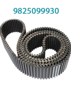 Belt for machine