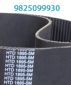 Heavy Duty Timing Belt - 5M