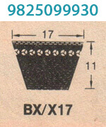 Cogged V Belt 2 Cogged V Belt 2