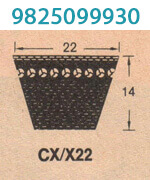 Cogged V Belt 3 Cogged V Belt 3